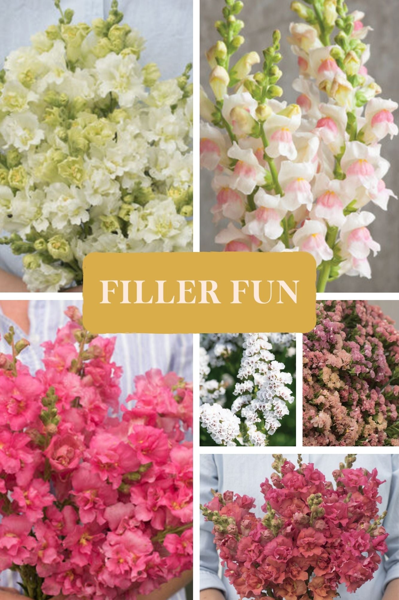 DIY GARDEN (COOL SEASON FAVS) - AVAILABLE APRIL 1ST