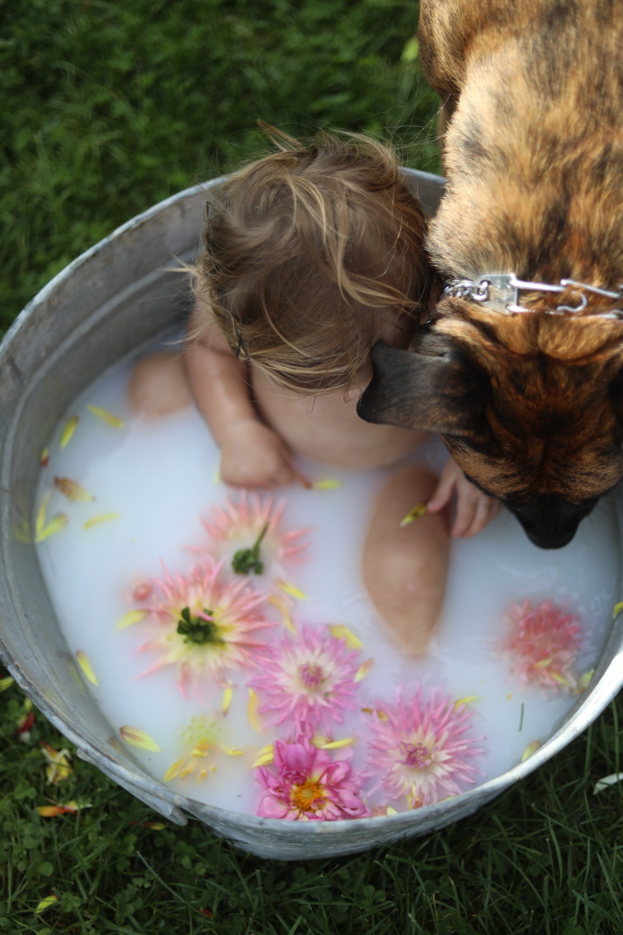 MILKBATH MINIS