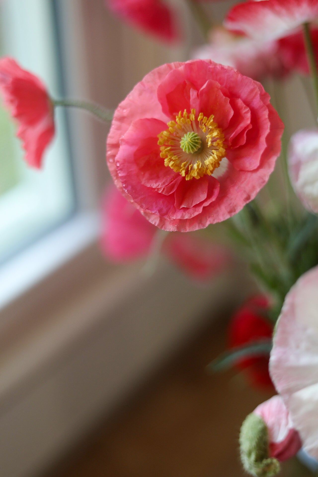 FLORAL SUBSCRIPTION *DELIVERY*