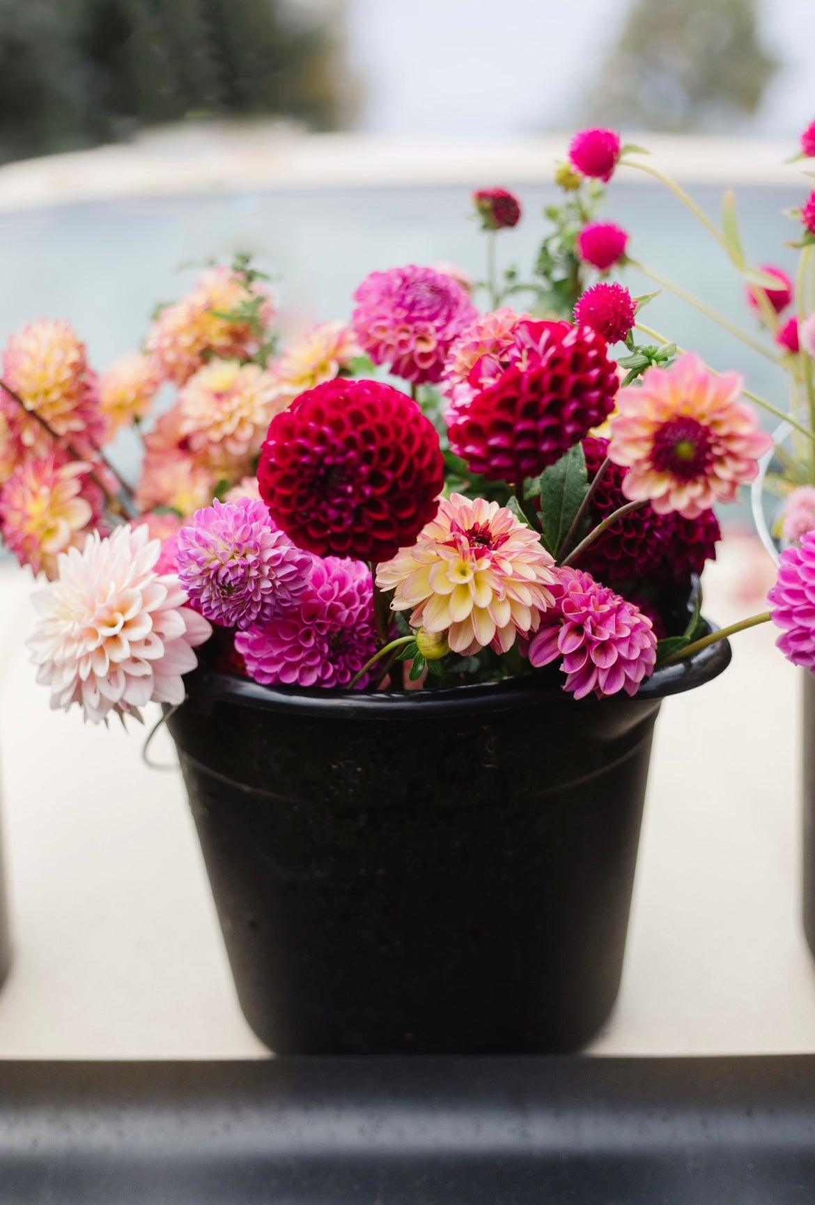 FRESH FLOWERS LOCALLY GROWN