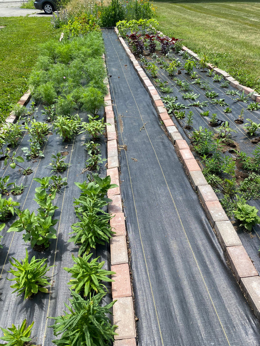 Let's Talk About Weeds