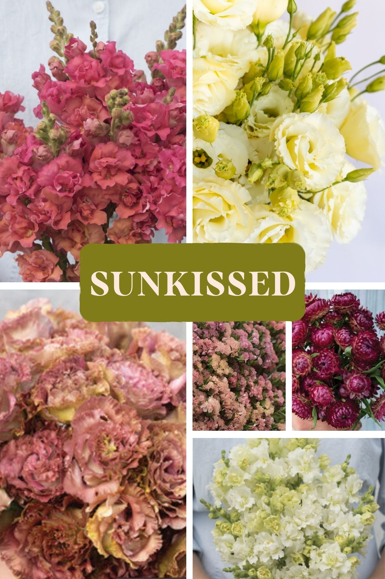 DIY GARDEN (COOL SEASON FAVS) - AVAILABLE APRIL 1ST