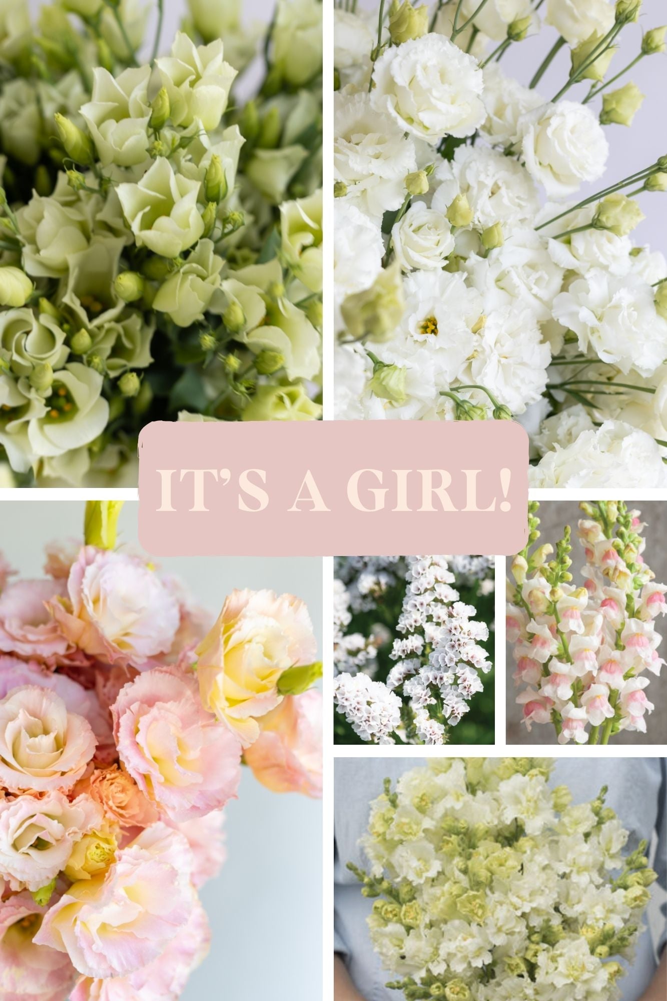 DIY GARDEN (COOL SEASON FAVS) - AVAILABLE APRIL 1ST
