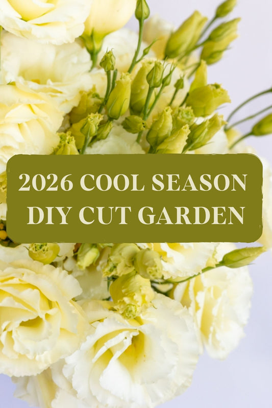 DIY GARDEN (COOL SEASON FAVS) - AVAILABLE APRIL 1ST