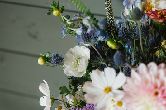 Louloudi Fields Gift Card